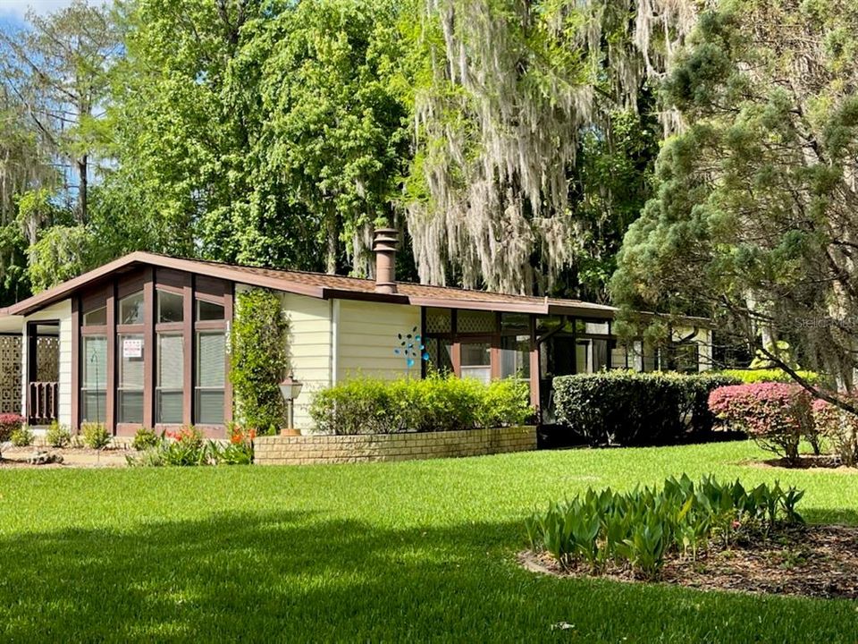 Curb View