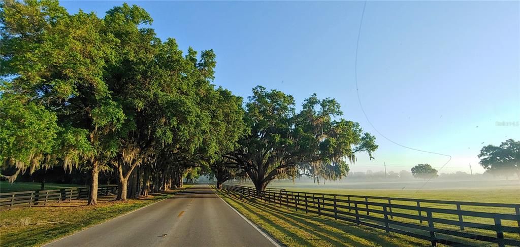 The property is on this road!