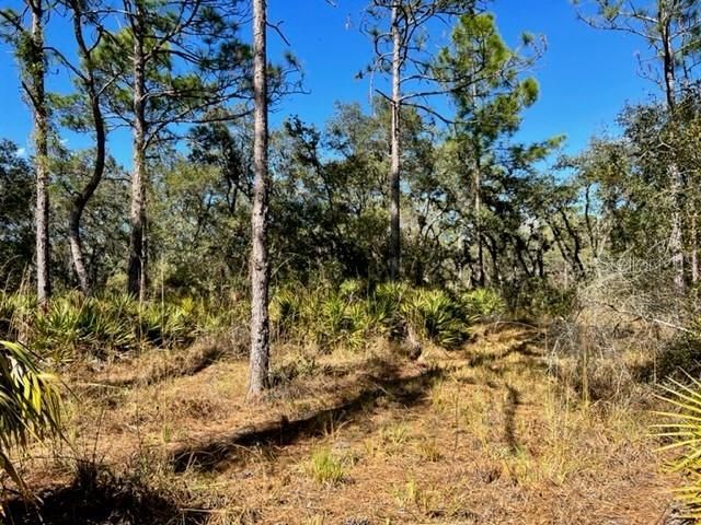 Recently Sold: $95,000 (4.06 acres)