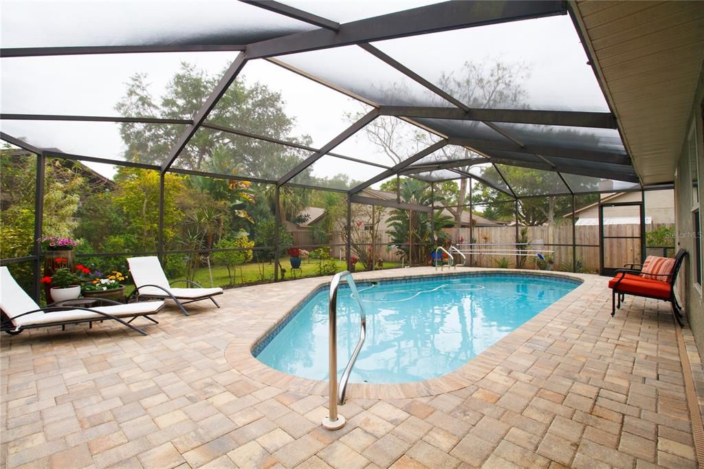 Newly Screened Vaulted                     Pool/Patio Cage