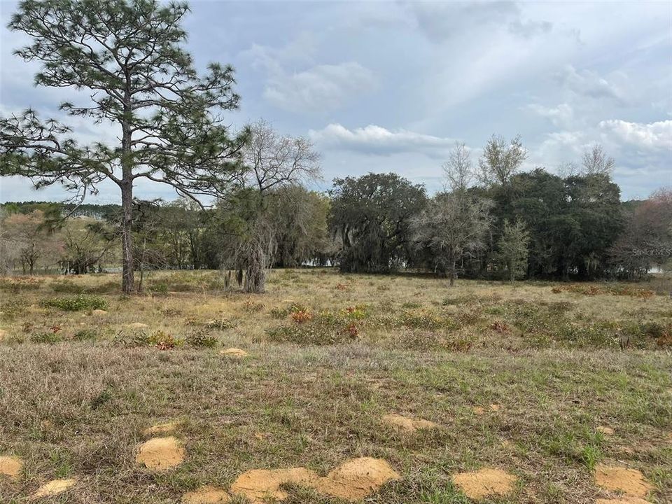 Recently Sold: $68,700 (2.55 acres)