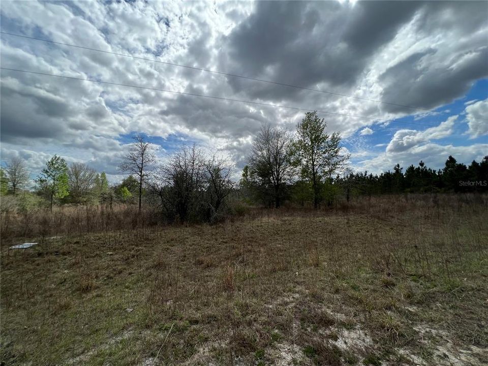 Recently Sold: $80,000 (9.88 acres)