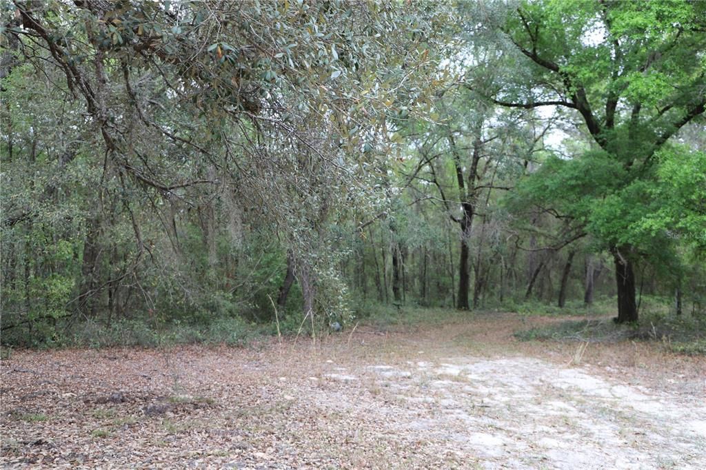 Vendido Recientemente: $80,000 (2.50 acres)