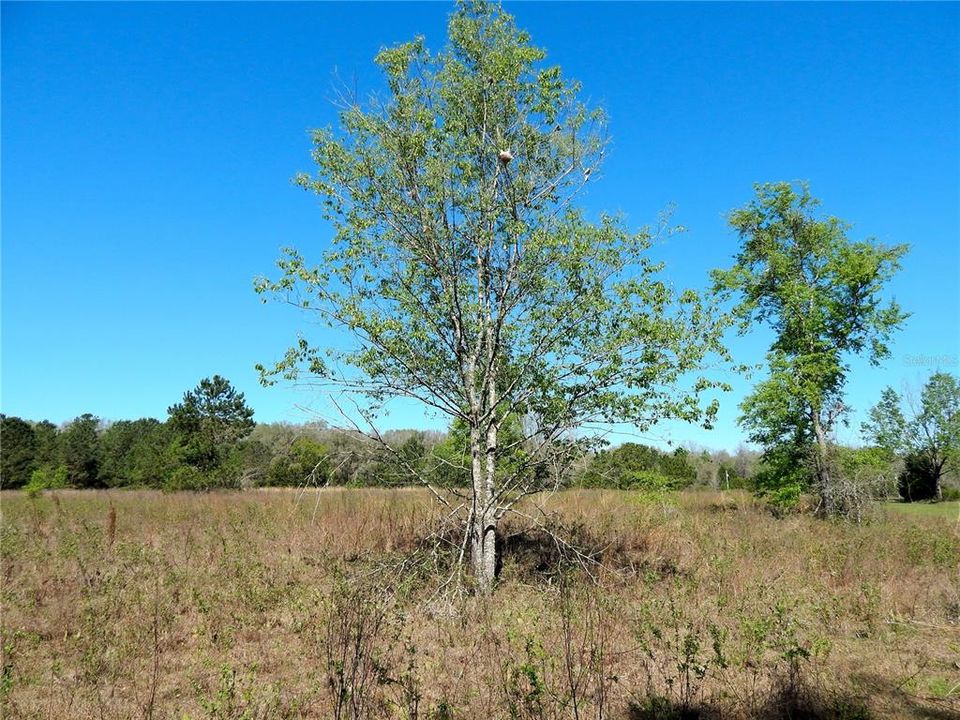 Recently Sold: $52,000 (5.06 acres)