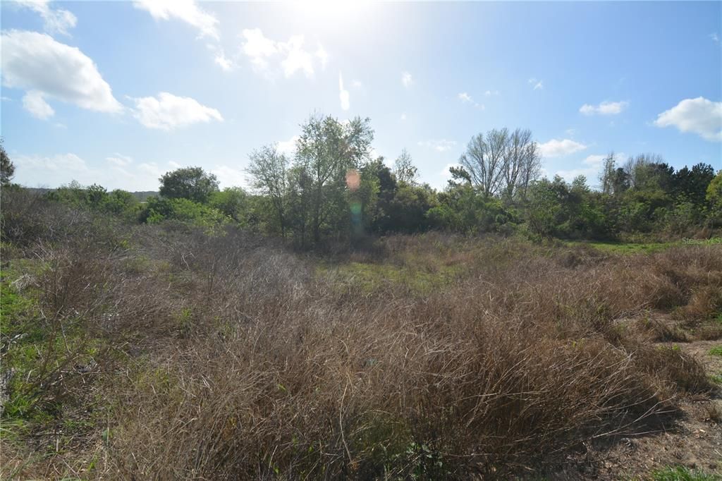 Recently Sold: $75,000 (0.13 acres)