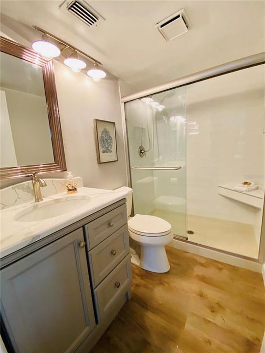 Master Bathroom, Fully Renovated