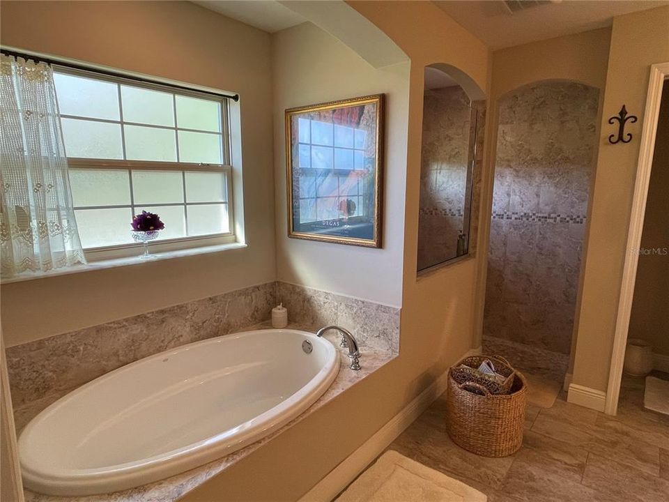 Master Bathroom Soaking tub and shower