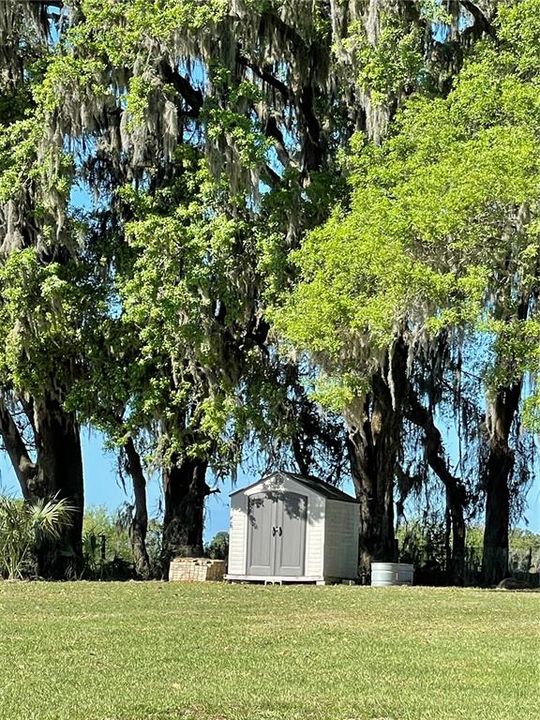 Storage Shed