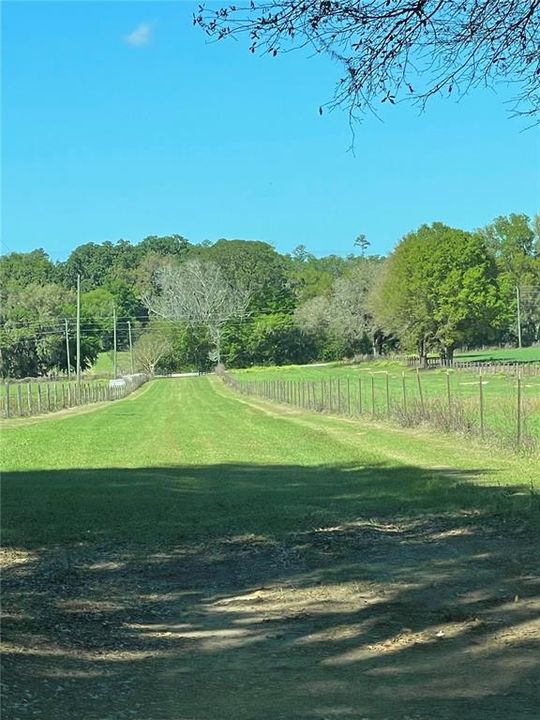 Driveway to property