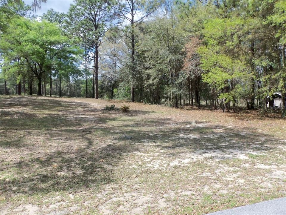 Recently Sold: $31,000 (0.36 acres)