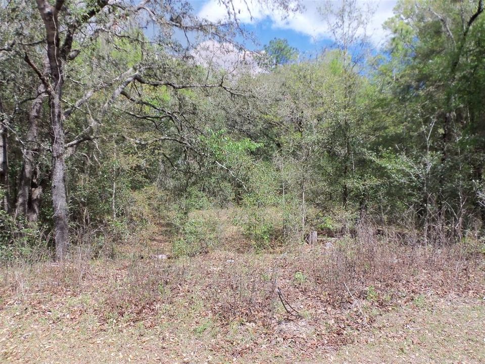 Recently Sold: $31,000 (0.30 acres)