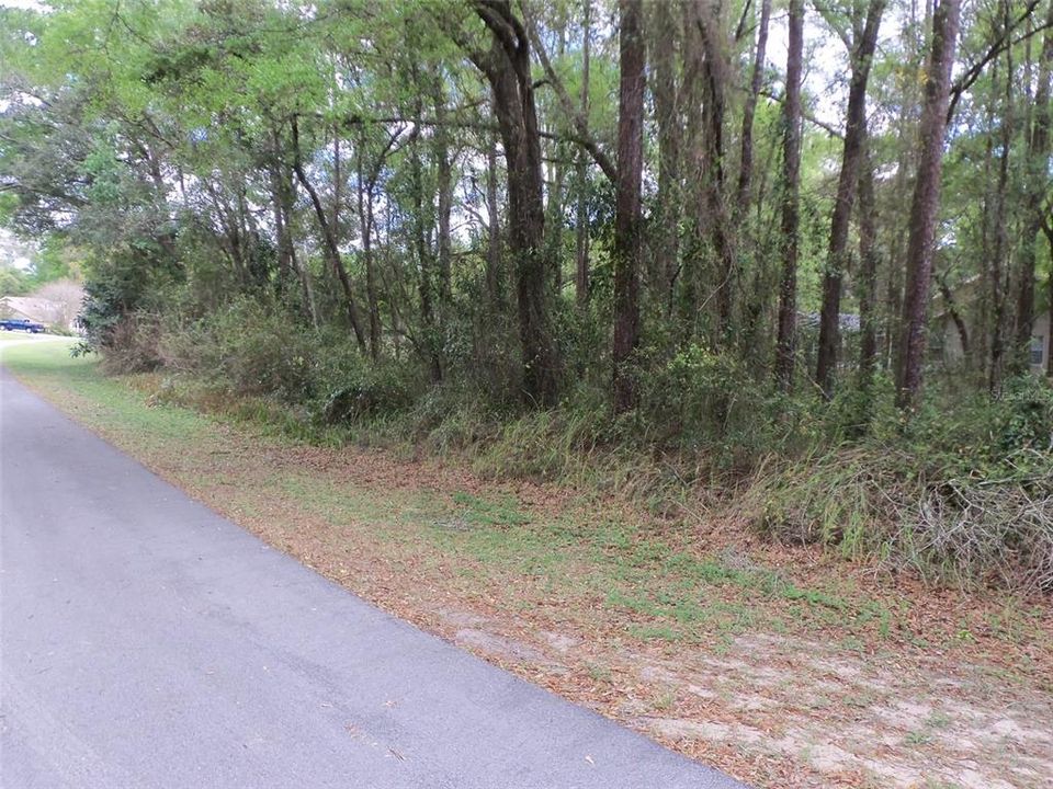 Recently Sold: $31,000 (0.29 acres)