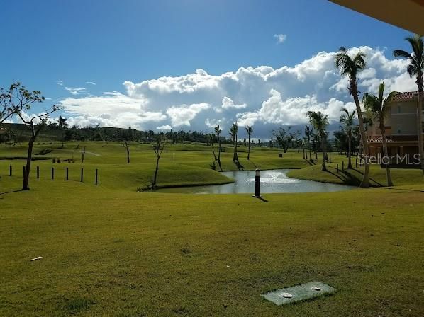 The Woods 211 - for Sale for you...