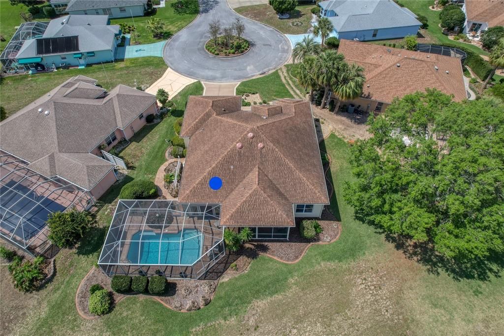 Large Birdcage over Pool