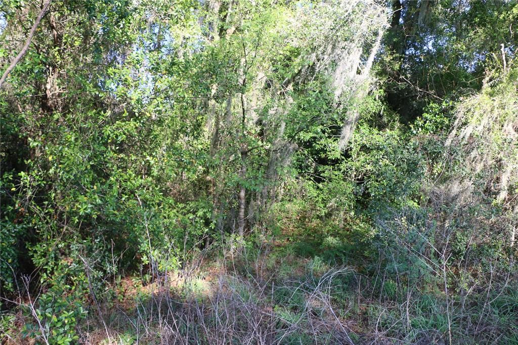 Recently Sold: $18,950 (0.44 acres)