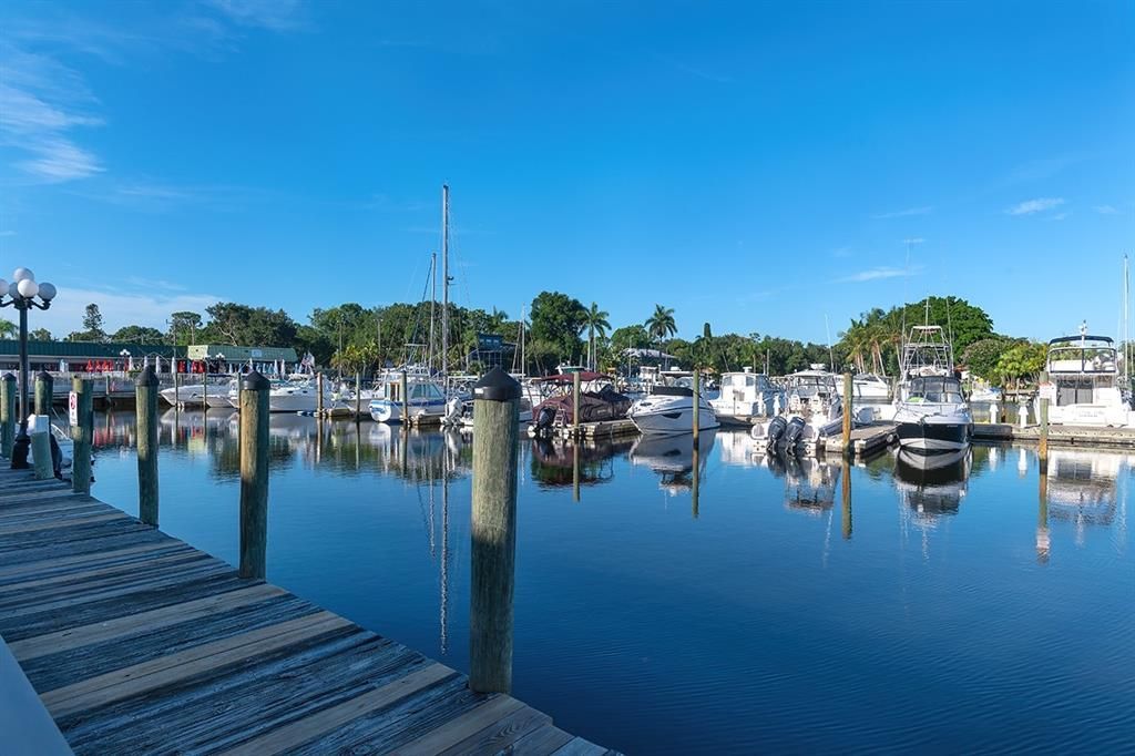 Dock View