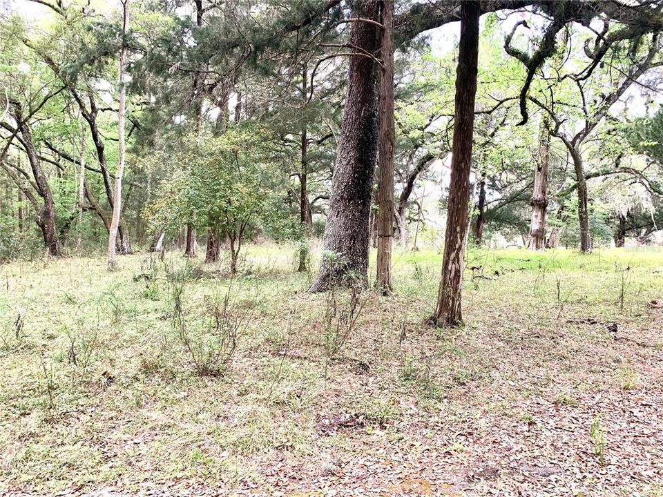 Vendido Recientemente: $170,000 (4.90 acres)