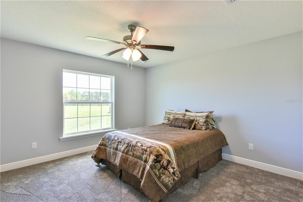 2nd bedroom looks out to paddocks