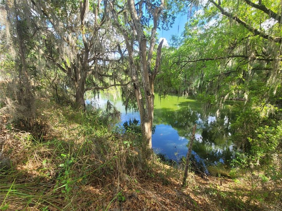 Recently Sold: $189,000 (18.00 acres)