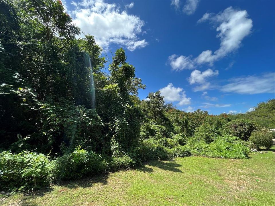 Vendido Recientemente: $45,000 (0.41 acres)