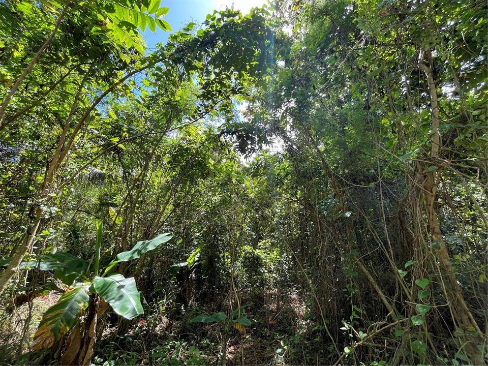 Vendido Recientemente: $45,000 (0.41 acres)