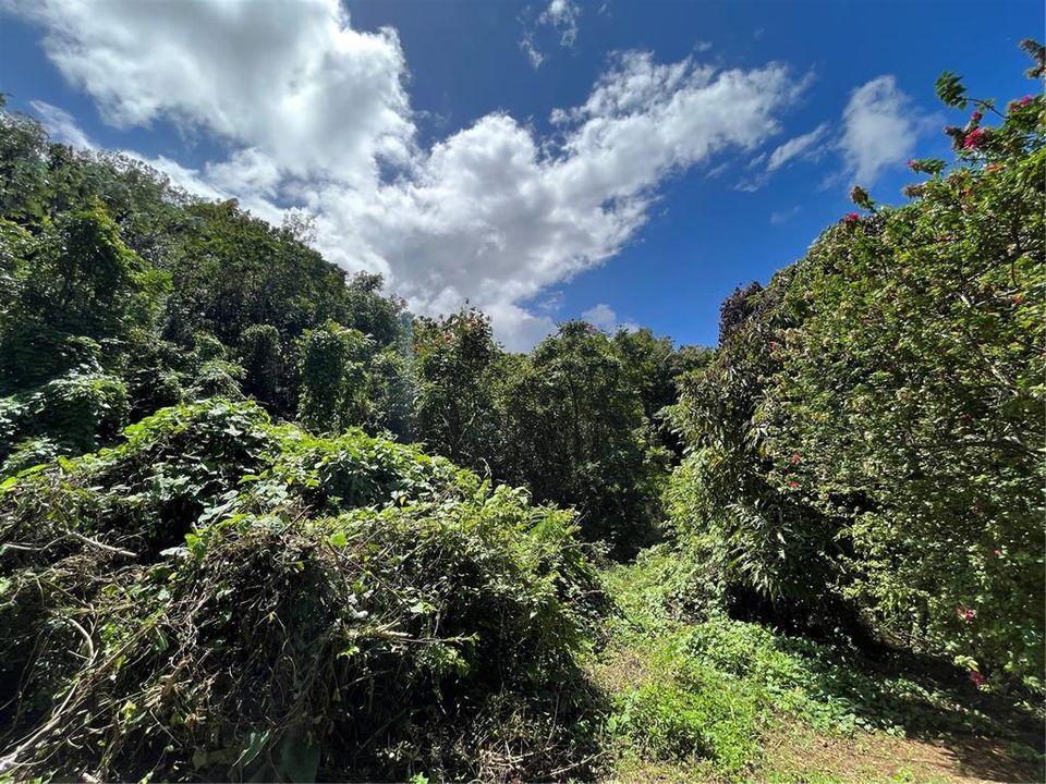 Vendido Recientemente: $45,000 (0.41 acres)