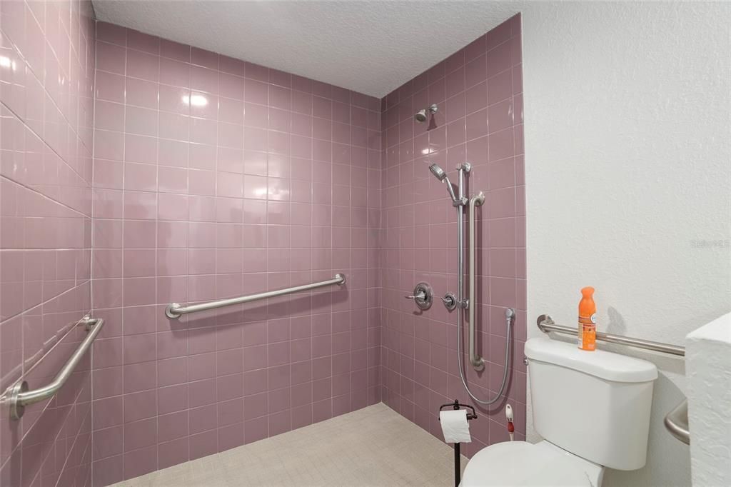 Guest bathroom with roll in shower