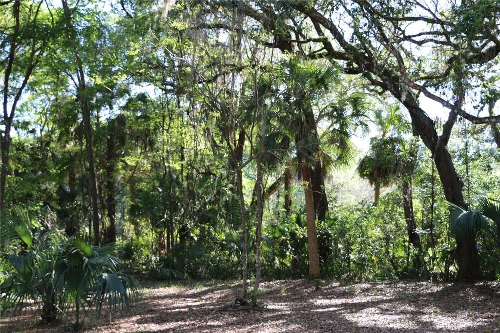 Recently Sold: $14,880 (0.28 acres)