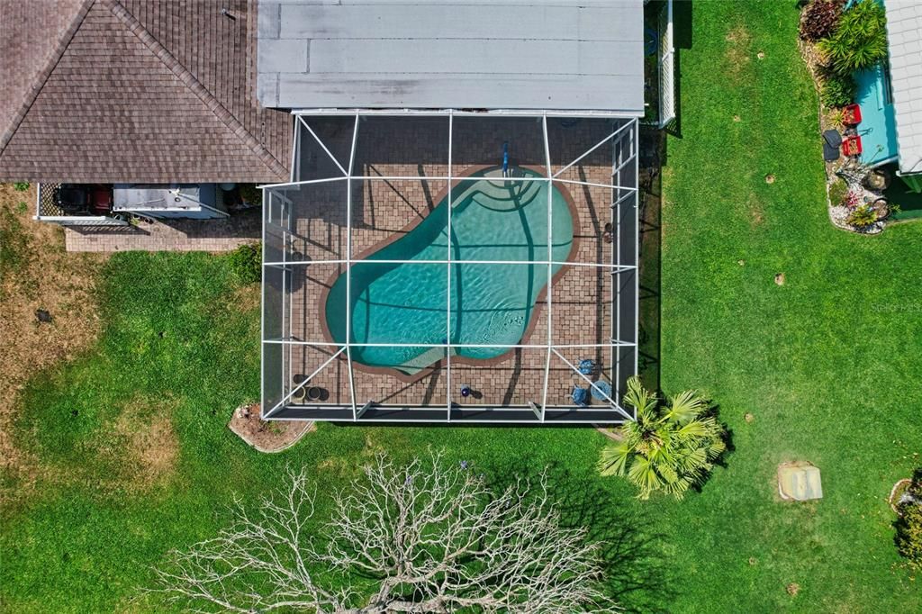 Aerial view of the pool.