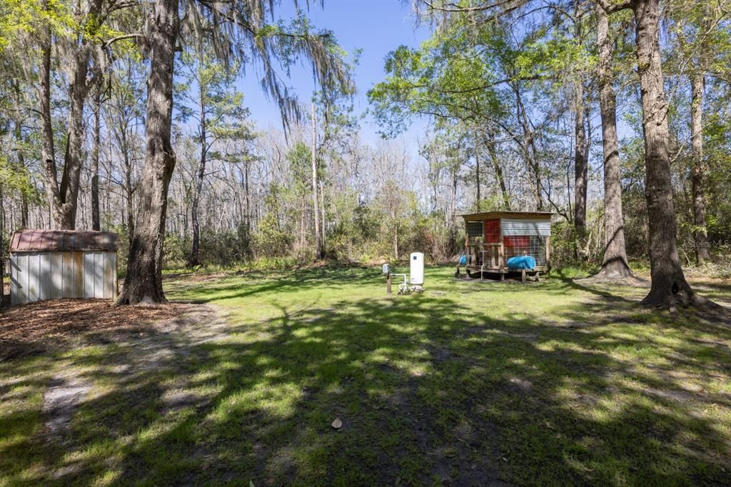 Shed and Dog Kennel