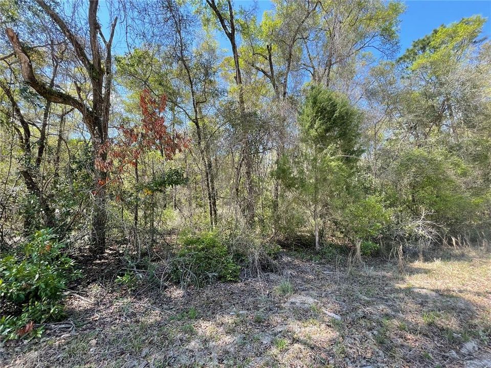 Recently Sold: $39,000 (1.55 acres)