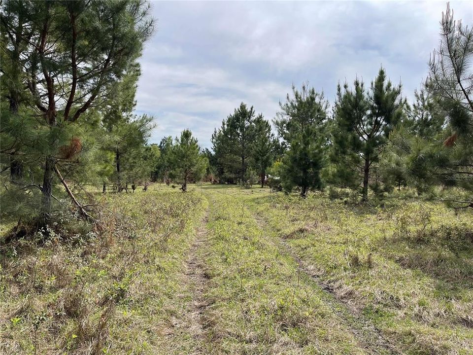 Recently Sold: $299,900 (30.98 acres)