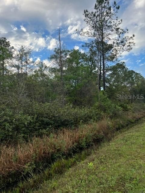 Recently Sold: $17,500 (1.14 acres)
