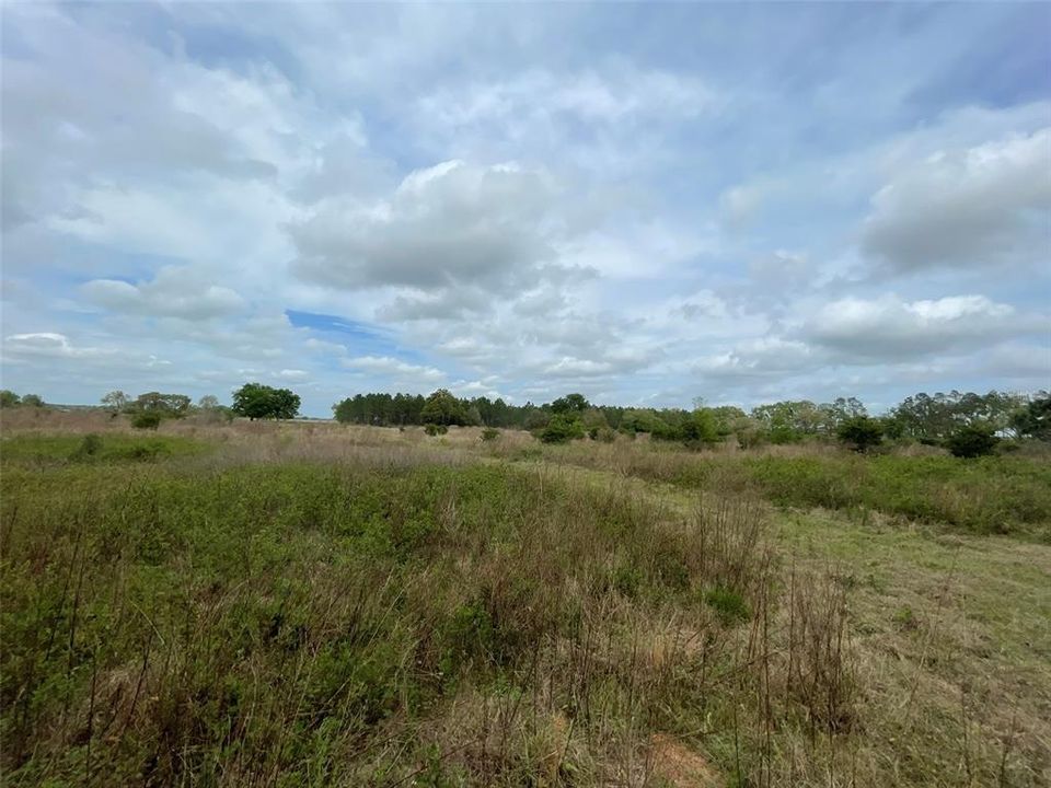 Recently Sold: $399,900 (53.18 acres)