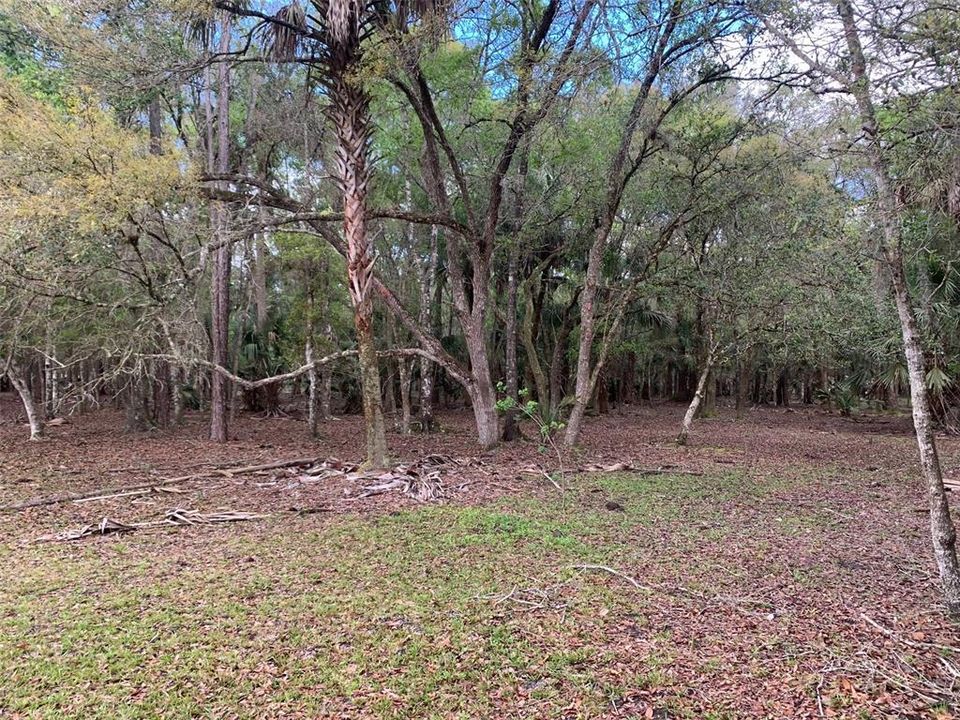 Recently Sold: $175,000 (10.00 acres)