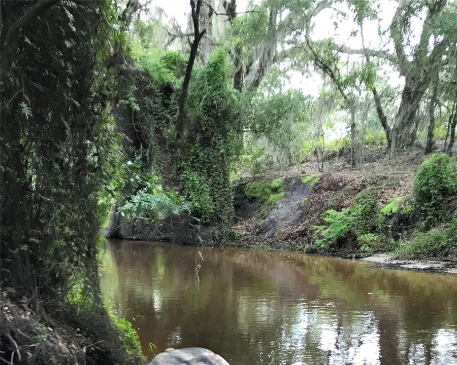 Недавно продано: $7,900 (0.31 acres)