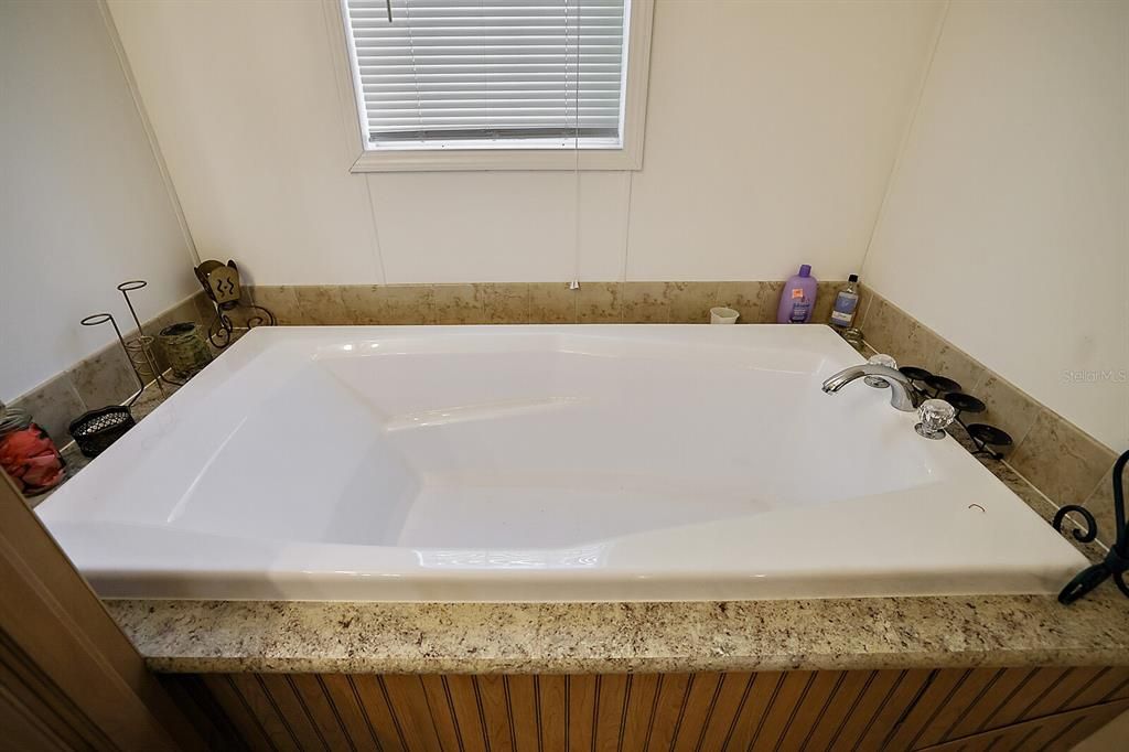 Master Bath Garden Tub