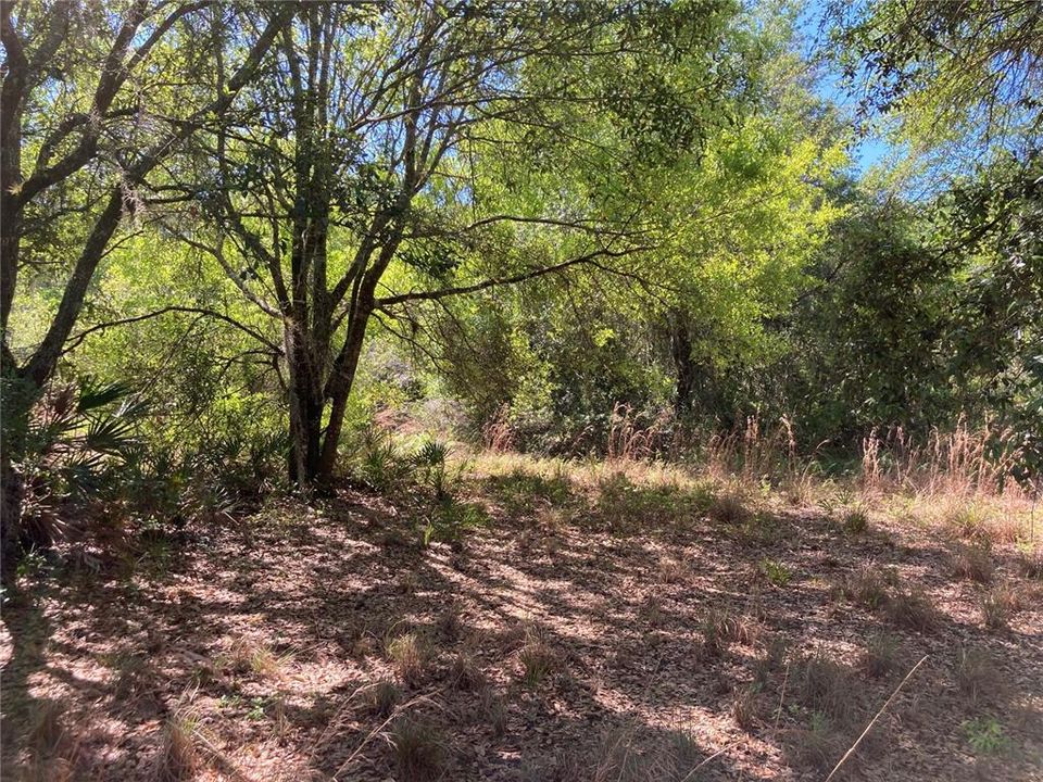 Recently Sold: $149,000 (10.10 acres)