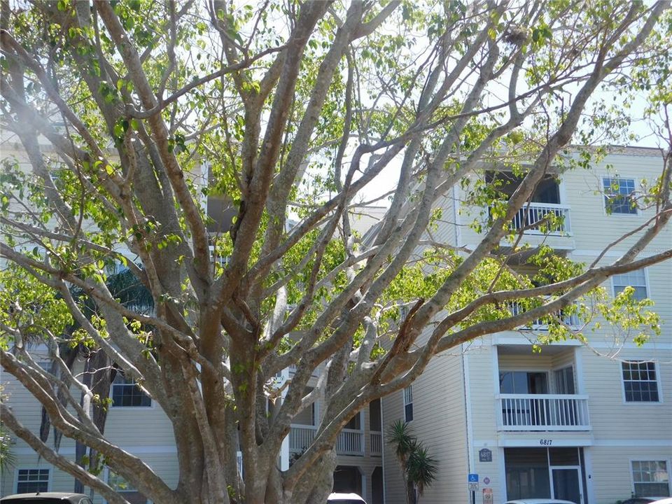 最近售出: $279,900 (2 贝兹, 2 浴室, 930 平方英尺)