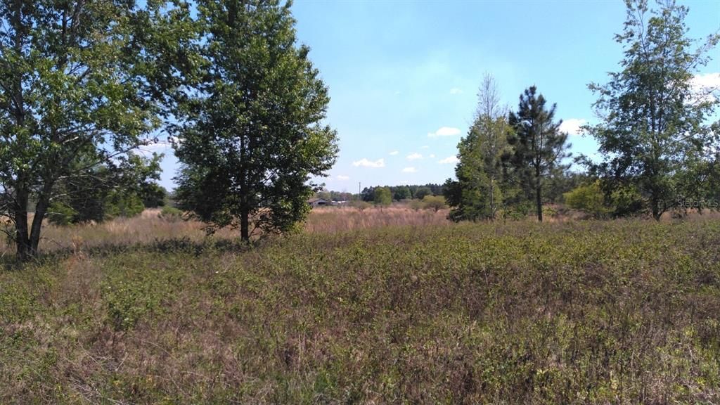 Recently Sold: $66,500 (5.02 acres)