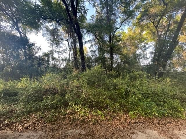 Recently Sold: $10,000 (0.19 acres)