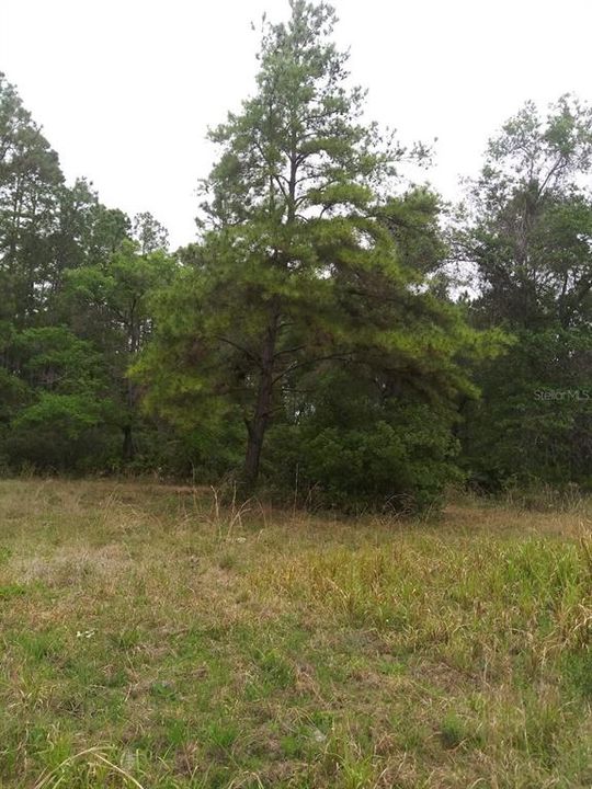 Недавно продано: $17,000 (1.16 acres)