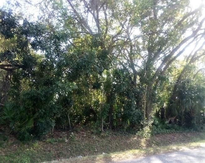 Vendido Recientemente: $75,000 (0.18 acres)