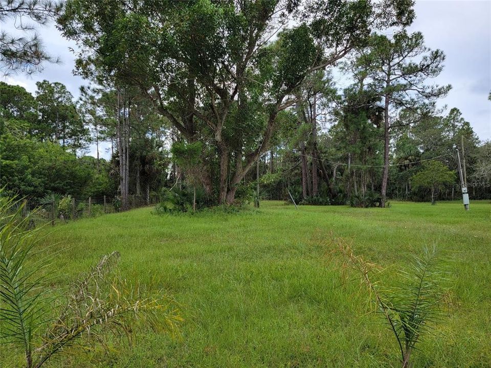 En Venta: $380,000 (8.24 acres)