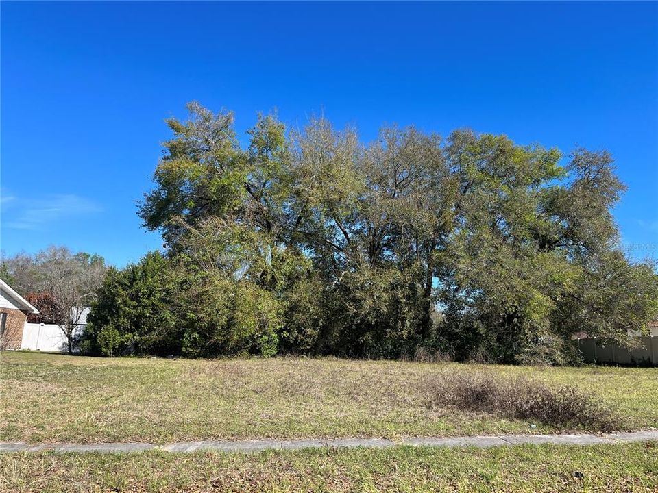 Recently Sold: $50,000 (0.29 acres)