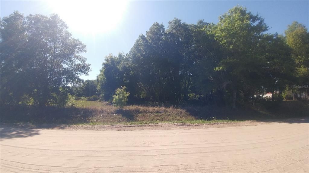 Rural lot with unpaved road.
