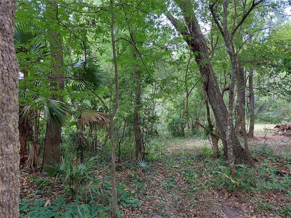 Recently Sold: $9,500 (0.30 acres)