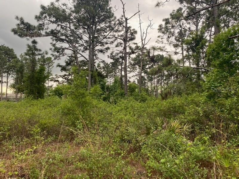 Recently Sold: $20,000 (0.30 acres)