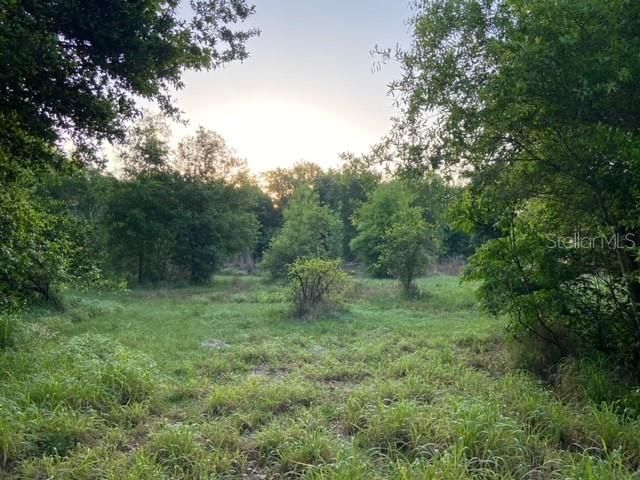 Recently Sold: $350,000 (3.83 acres)