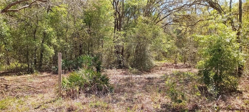 Recently Sold: $45,000 (2.32 acres)